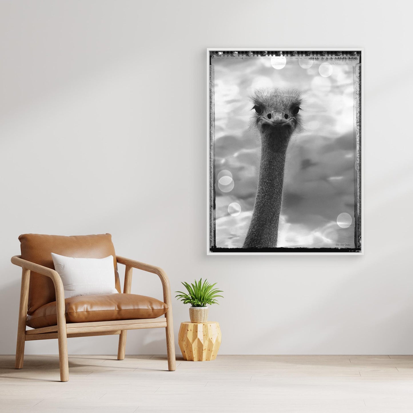 Ostrich
