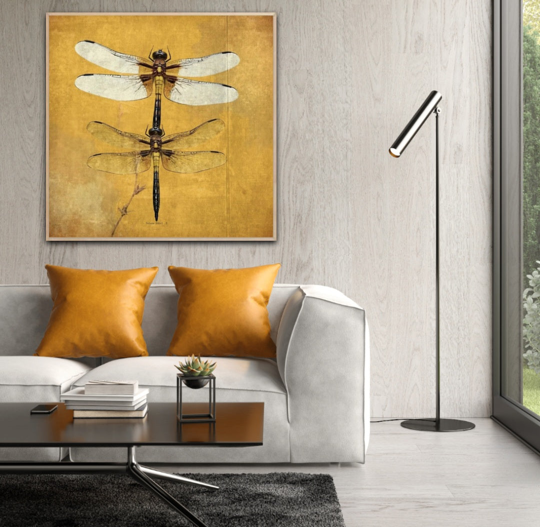 Dragonfly