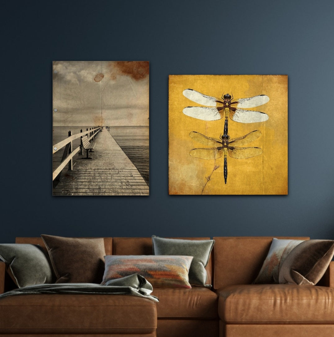 Dragonfly
