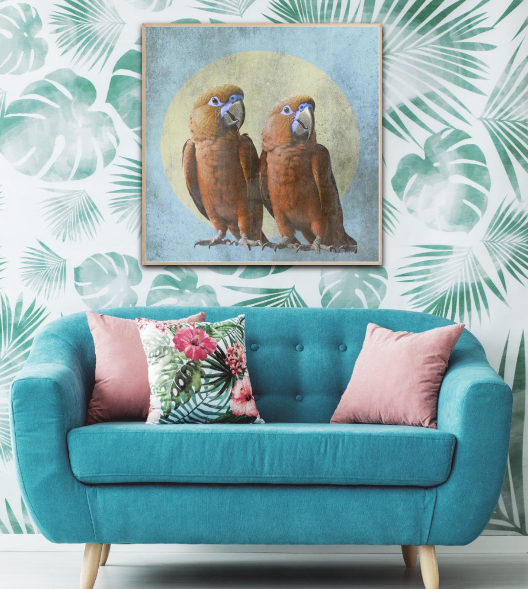 Birdies