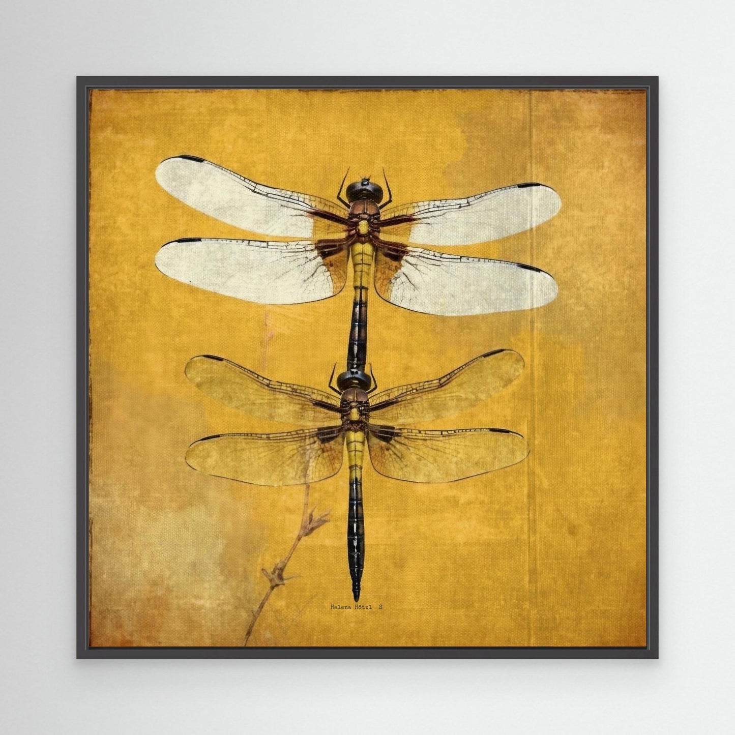 Dragonfly
