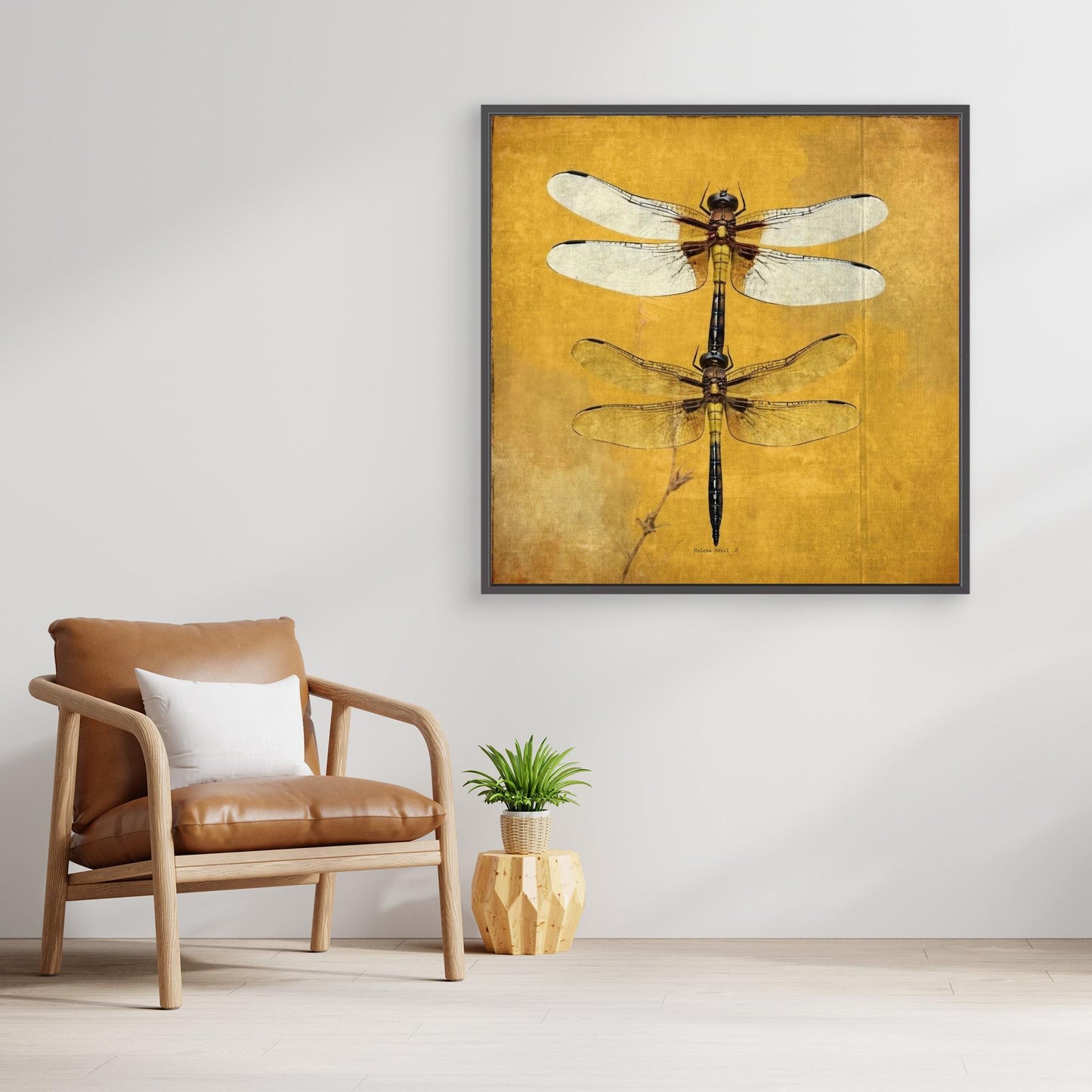 Dragonfly