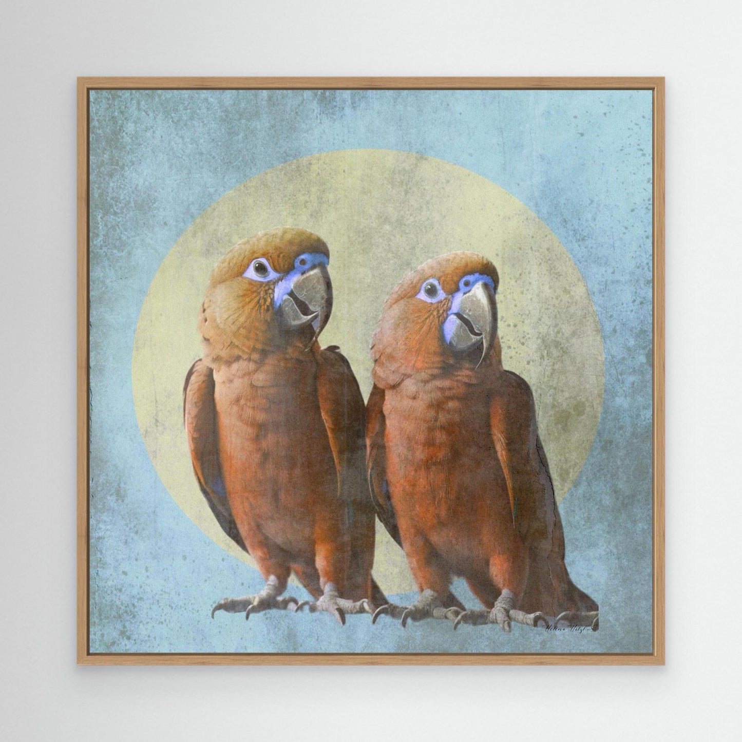 Birdies
