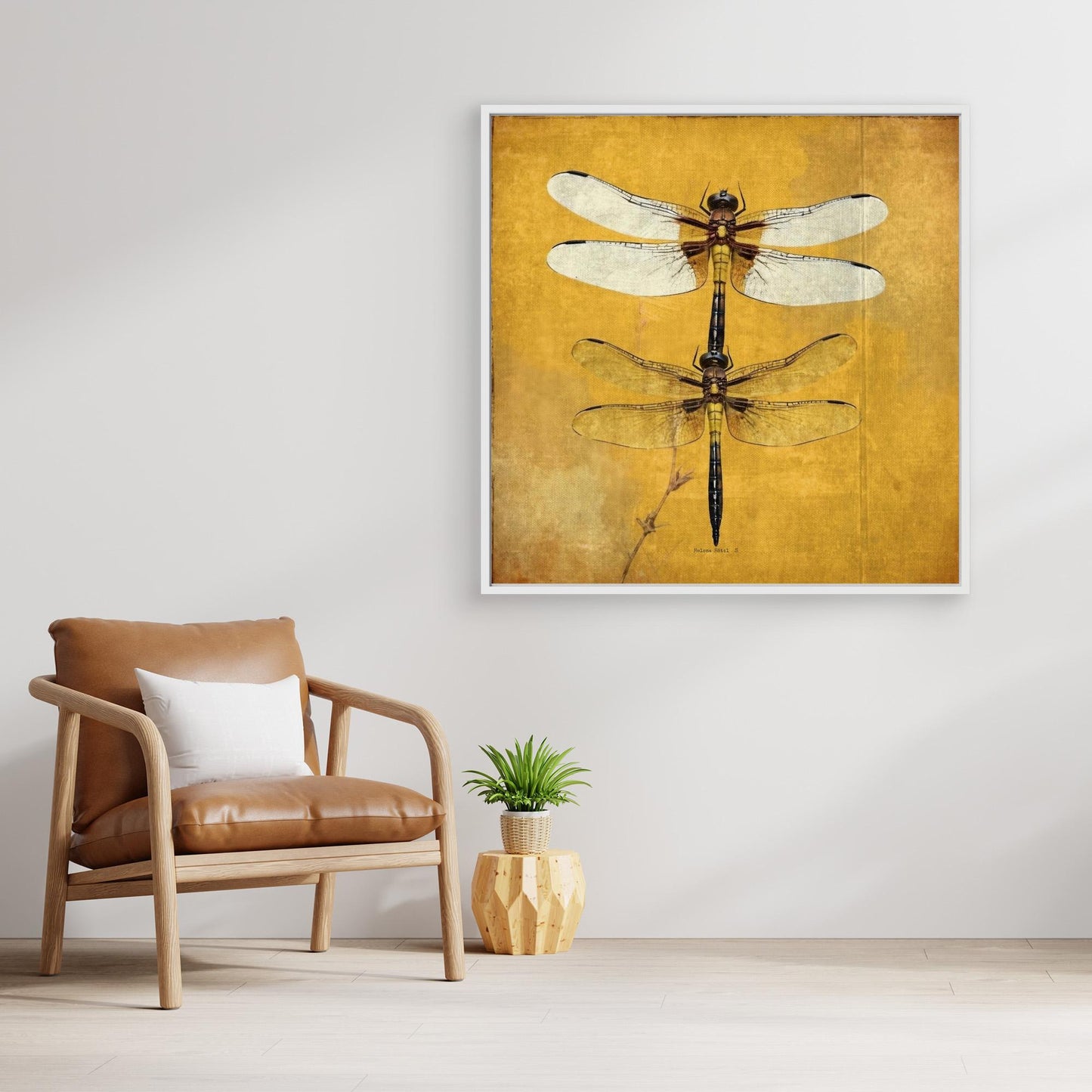 Dragonfly
