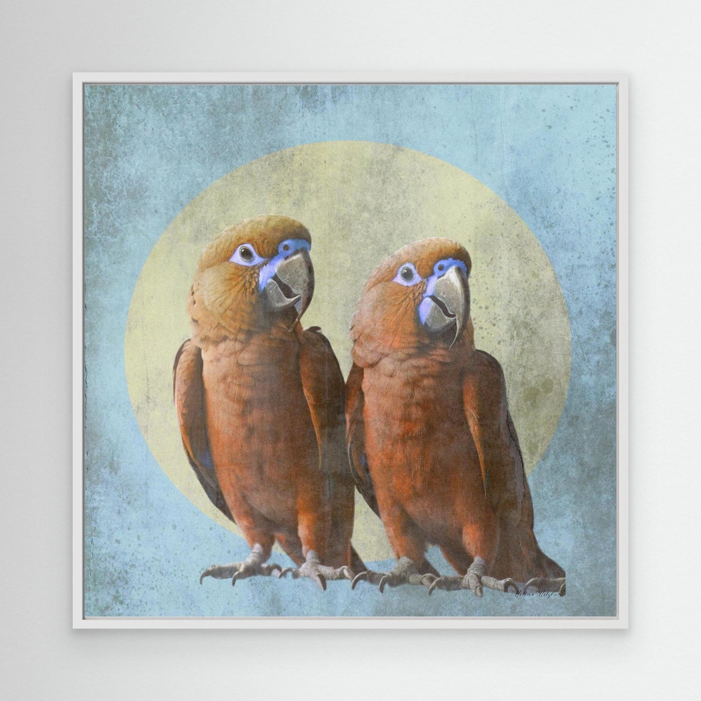 Birdies
