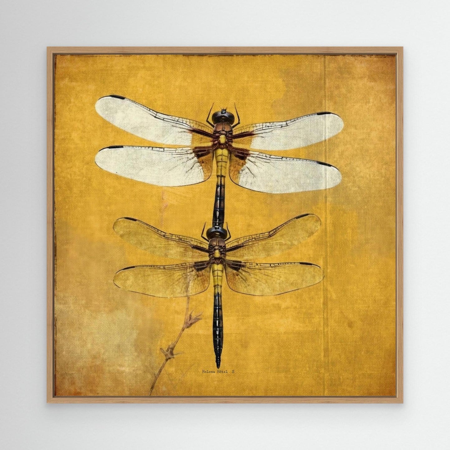 Dragonfly
