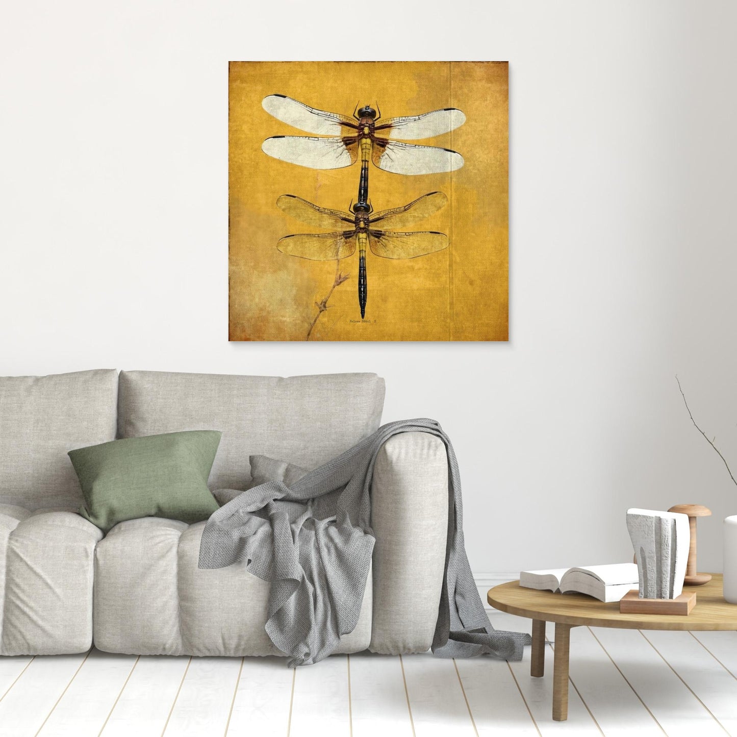 Dragonfly
